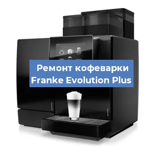 Чистка кофемашины Franke Evolution Plus от кофейных масел в Новосибирске